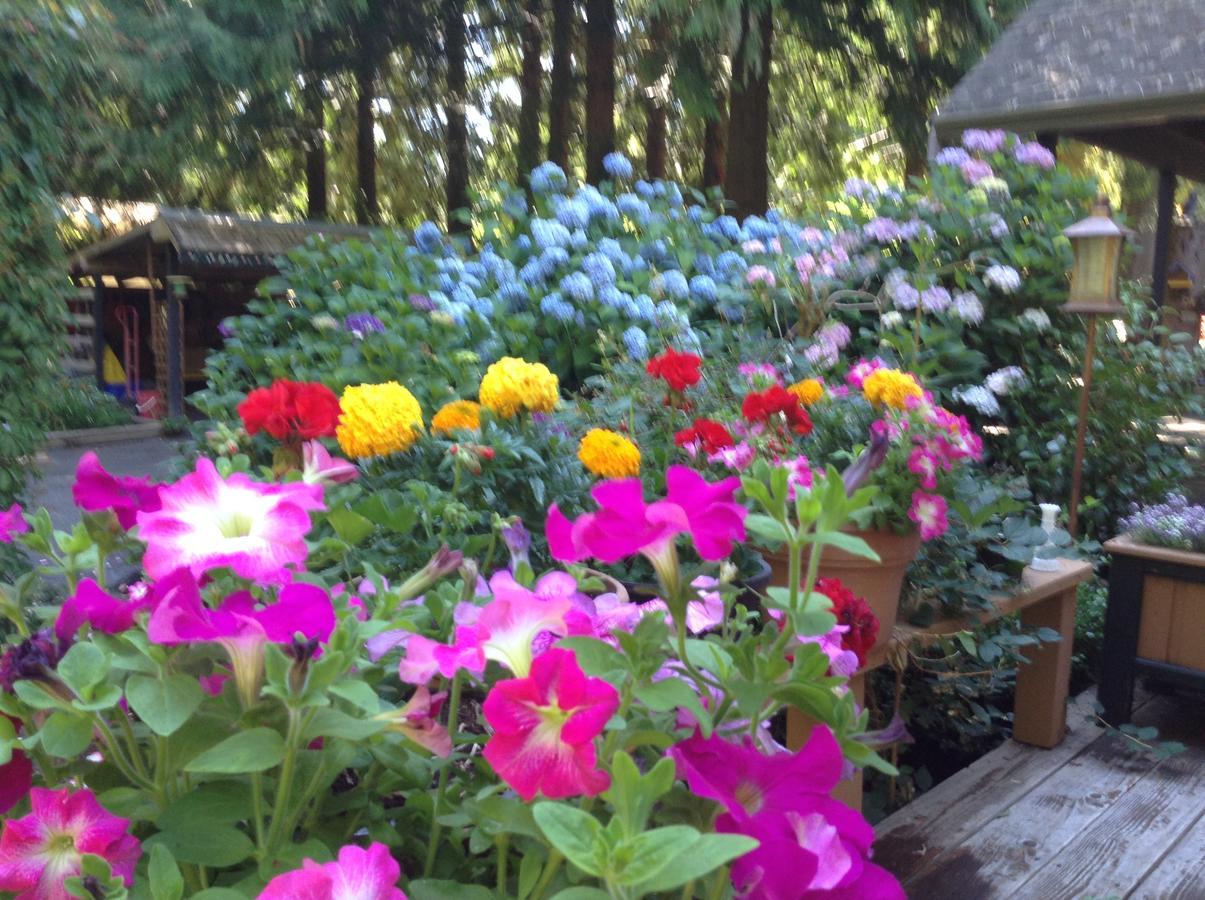 Tea Cozy Bed & Breakfast Qualicum Beach Exterior photo